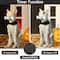 Glitzhome® 20.5" Lighted Halloween Skeleton Dog Porch Décor with Timer